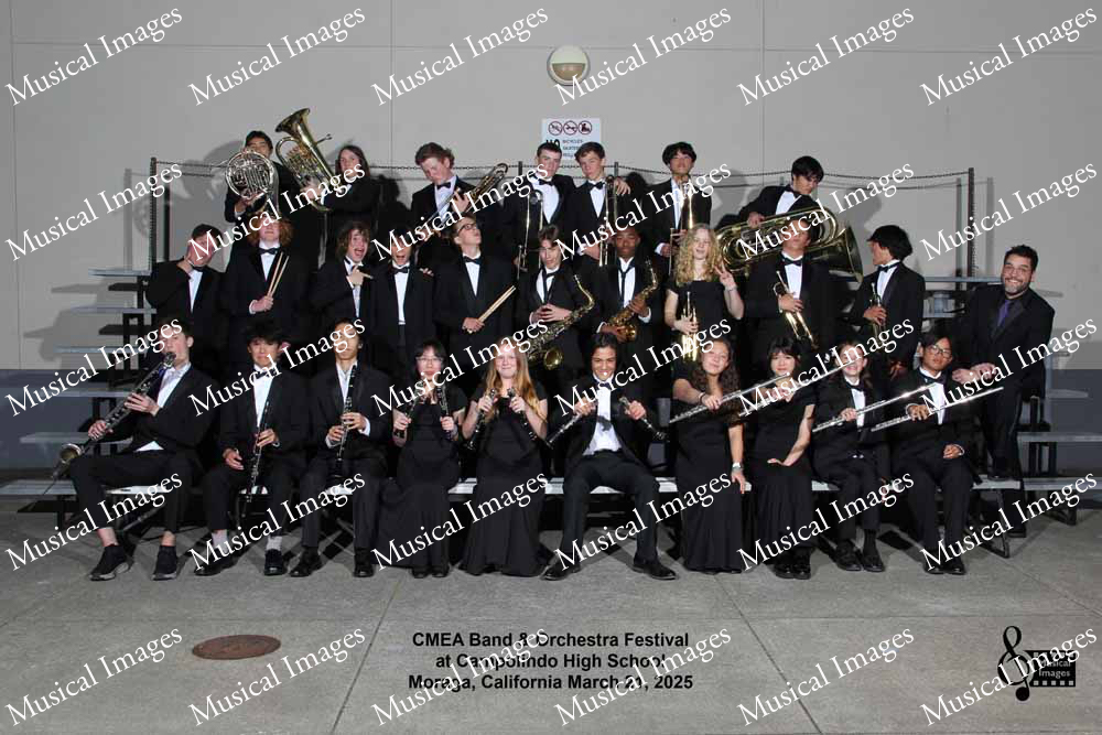 Musical Images